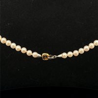 Collana Cianfrone Gioielli Donna in Oro Perla COOR-85-198 - COOR-85-198